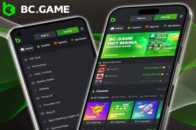Comprehensive BC.Game Referral Code Guide for New Users Comprehensive BC.Game Referral Code Guide for New Users