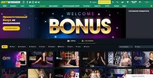 Everything You Need to Know About BetWinner Bonus Details