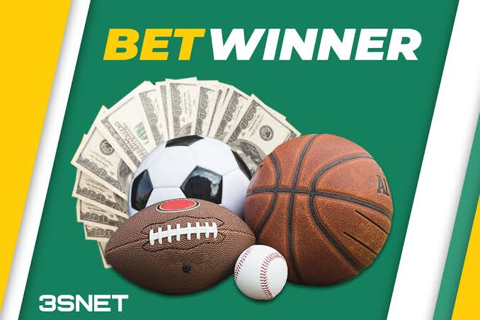 BetWinner Gambling Platform Your Gateway to Exciting Online Betting